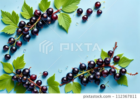 Blue background with black currants. Blue background with black currants. 112367811