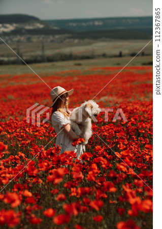 Field of poppies woman dog. Happy woman in a white dress and hat stand with her back through a blooming field of poppy with a white dog. Field of blooming poppies. Field of poppies woman dog. Happy woman in a white dress and hat stand with her back through a blooming field of poppy with a white dog. Field of blooming poppies. 112367865