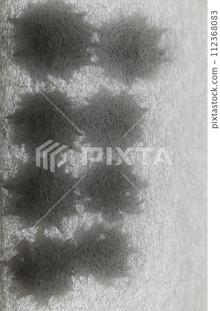 Collaboration of Japanese paper and cedar cones (background material) Collaboration of Japanese paper and cedar cones (background material) 112368083