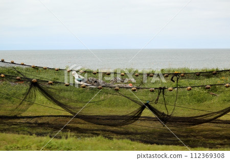 狹長的野付半島沿岸存放著色彩繽紛的漁具。 狹長的野付半島沿岸存放著色彩繽紛的漁具。 112369308
