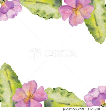 Hand drawn watercolor illustration spring gardening flower bed, leaves buds nature blossom. Square frame isolated white background. Design print, shop, scrapbooking, packaging, decoupage, invitation Hand drawn watercolor illustration spring gardening flower bed, leaves buds nature blossom. Square frame isolated white background. Design print, shop, scrapbooking, packaging, decoupage, invitation 112370013