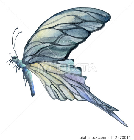 Hand drawn watercolor illustration butterfly fairy wings gem crystal insect moth. Opal moonstone pearl labradorite. Set of objects isolated on white background. Design print, shop, wedding, birthday Hand drawn watercolor illustration butterfly fairy wings gem crystal insect moth. Opal moonstone pearl labradorite. Set of objects isolated on white background. Design print, shop, wedding, birthday 112370015