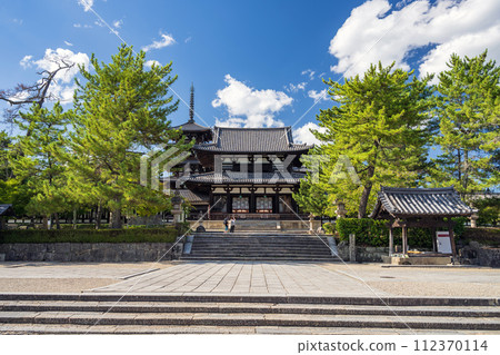 奈良法隆寺中門的夏日景色 112370114