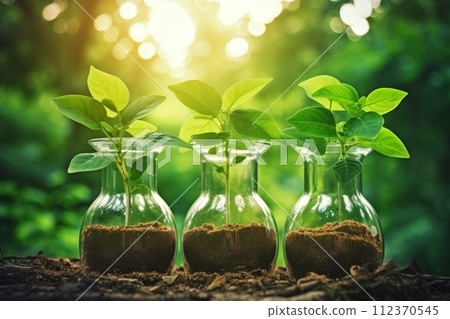 Biological chemistry test in plant science laboratory, organic leaf experiment in test tube 112370545