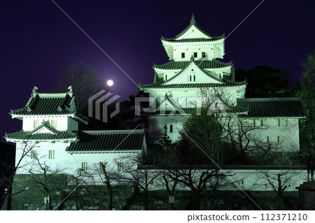[Gifu Prefecture] Ogaki Castle and the full moon 112371210
