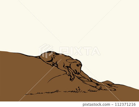 Vector drawing. The sheep got lost in the field Vector drawing. The sheep got lost in the field 112371216