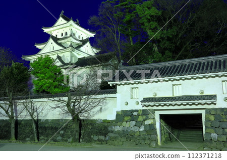 [岐阜縣]大垣城夜景 112371218