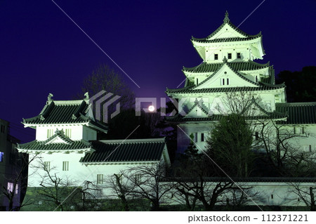 [岐阜縣]大垣城和滿月 112371221