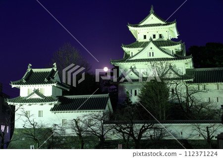 [Gifu Prefecture] Ogaki Castle and the full moon 112371224