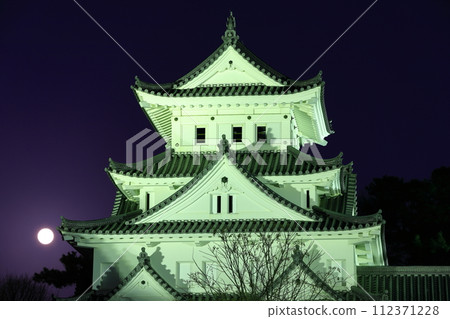 [Gifu Prefecture] Ogaki Castle and the full moon 112371228
