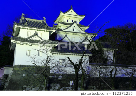 [Gifu Prefecture] Night view of Ogaki Castle 112371235