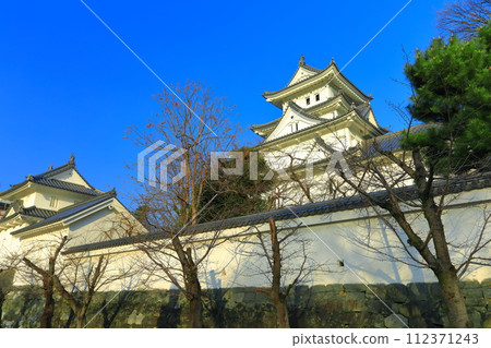 [Gifu Prefecture] Ogaki Castle in sunny weather 112371243