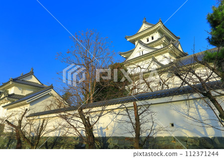 [Gifu Prefecture] Ogaki Castle in sunny weather 112371244