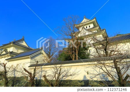 [Gifu Prefecture] Ogaki Castle in sunny weather 112371246
