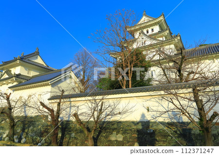 [Gifu Prefecture] Ogaki Castle in sunny weather 112371247