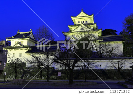 [Gifu Prefecture] Night view of Ogaki Castle 112371252