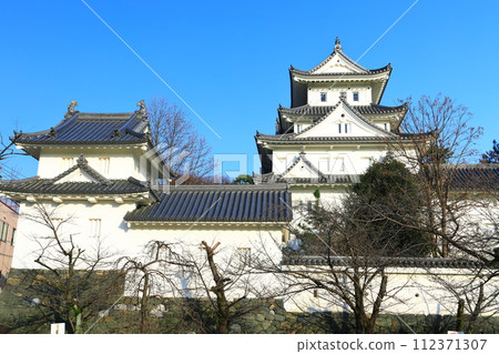 [Gifu Prefecture] Ogaki Castle on a clear day 112371307