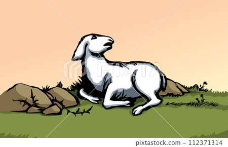 Vector drawing. The sheep got lost in the field 112371314