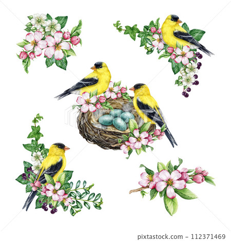 Vintage style springtime decor set with birds and flowers. Watercolor illustration. Hand drawn goldfinch bird, nest, garden flowers, elements. Spring season cozy painted collection. White background Vintage style springtime decor set with birds and flowers. Watercolor illustration. Hand drawn goldfinch bird, nest, garden flowers, elements. Spring season cozy painted collection. White background 112371469