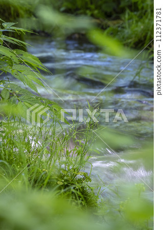 Fresh fresh green season Fresh fresh green season 112371781