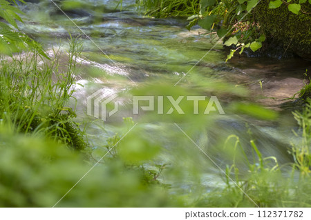 Fresh fresh green season Fresh fresh green season 112371782