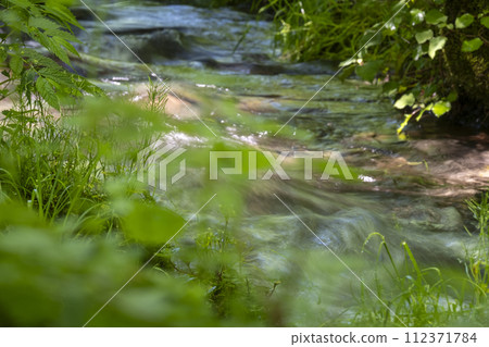 Fresh fresh green season Fresh fresh green season 112371784