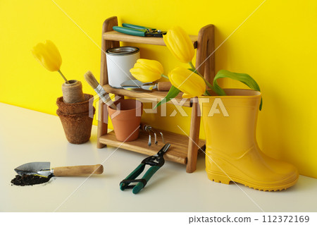 Gardening supplies and tulips in rubber boot on yellow background Gardening supplies and tulips in rubber boot on yellow background 112372169