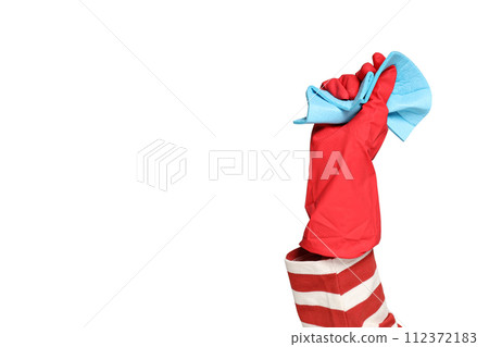 Housewife girl with means for cleaning the house, on a gray background. Housewife girl with means for cleaning the house, on a gray background. 112372183