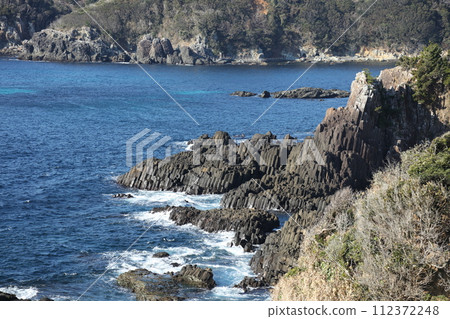 Tsumekizaki 112372248