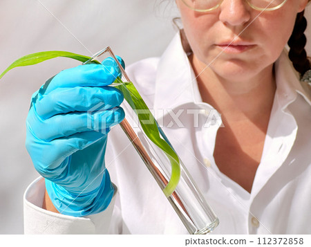 Science and nature concept Science and nature concept 112372858
