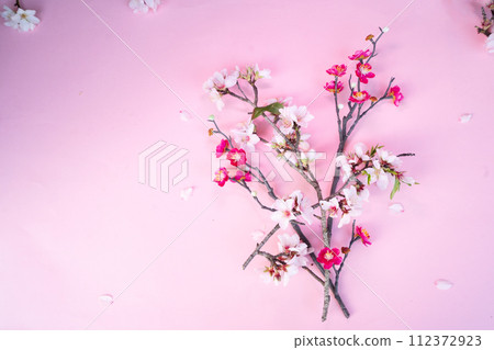 spring cherry and almond tree flowers spring cherry and almond tree flowers 112372923
