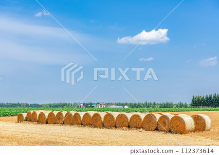Summer in Hokkaido: blue skies, farmland, and lots of wheat rolls (Hokkaido image) Summer in Hokkaido: blue skies, farmland, and lots of wheat rolls (Hokkaido image) 112373614