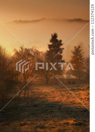 Forest, autumn and sunrise with mist in countryside environment with tree nature, spring or grassland. Woods, fog and meadow in England for rural farmland harvesting or dusk haze, outdoor or plants 112374129