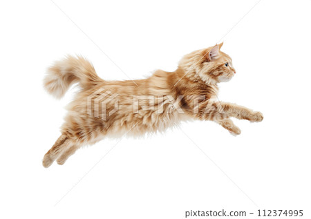 AI-generated content. Beautiful ginger cat in motion, jumping on the white background. 112374995