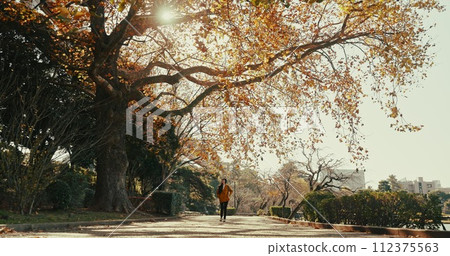 Nature, thinking and Japanese woman in city on commute, travel and journey in urban park. Walking, fashion and person with trees wondering, thoughtful and relax on adventure, holiday and vacation 112375563