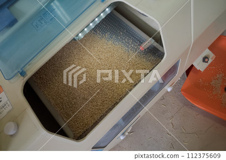 farmer, farmhouse, paddy 112375609