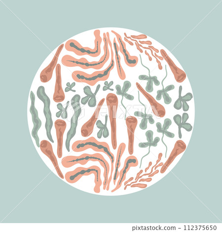 Circle ornament undersea life pattern 112375650