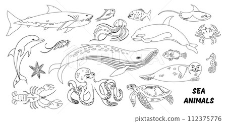 Hand drawn sea wildlife composition with different marine animals to color 112375776