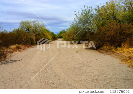 Arizona Desert Arroyo 112376091