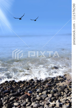 Birds, landscape and rocks by ocean in nature for travel destination, holiday and vacation. Natural background, summer and waves, sea and water for scenic view in environment, ecosystem and horizon Birds, landscape and rocks by ocean in nature for travel destination, holiday and vacation. Natural background, summer and waves, sea and water for scenic view in environment, ecosystem and horizon 112376290