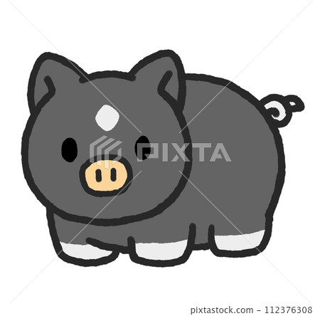 Black pig looking in front Black pig looking in front 112376308