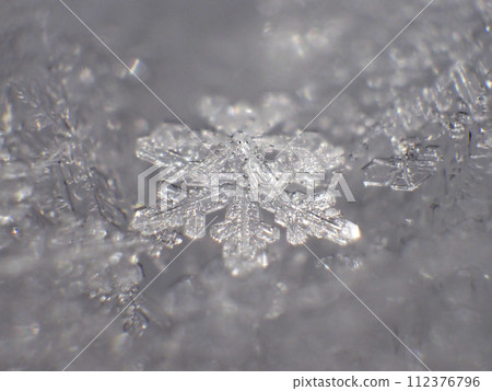 Crystal of snow	 112376796