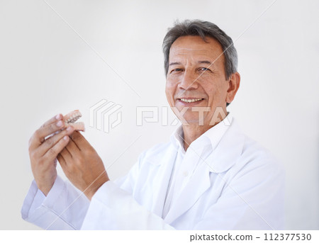 Man, dentist and portrait with denture mold for teeth healthcare for treatment with oral care, consulting or white background. Male person, veneers and mockup in studio or clinic, whitening or clean 112377530