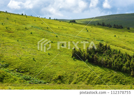 forests on the hills of ukrainian highlands. wide grassy alpine meadows of carpathian mountains beneath a sky with clouds. warm sunny day in summer 112378755