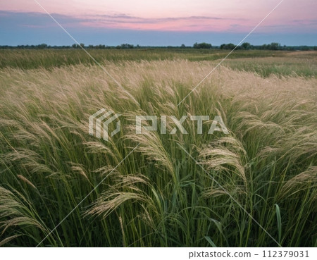 Landscape with ears of grass. Landscape with ears of grass. 112379031