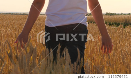 Modern male teenager walking at sunny autumn wheat field touching dry stems enjoy freedom closeup. Teen boy relaxing outdoor sunlight fall meadow with natural plant sky forest horizon back view 112379451