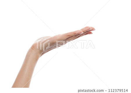 Open female hand with copy space for advertising marketing or product placement Open female hand with copy space for advertising marketing or product placement 112379514