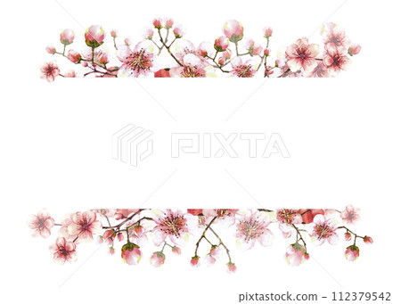 A blossoming branch from spring tree Hand drawn watercolor sakura, Japanese cherry or apple buds and flowers illustration. Springtime clipart Template for banner, card, label print Isolated background A blossoming branch from spring tree Hand drawn watercolor sakura, Japanese cherry or apple buds and flowers illustration. Springtime clipart Template for banner, card, label print Isolated background 112379542