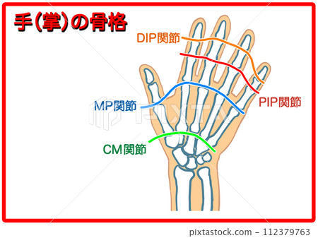 Hand skeleton_text 3 112379763