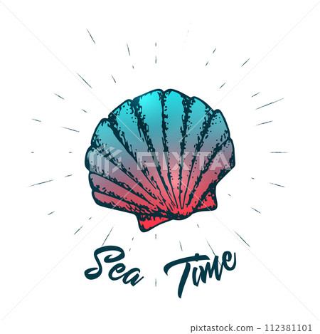 Seashell and lettering vector design. Sea creature summer hand drawn print.  112381101